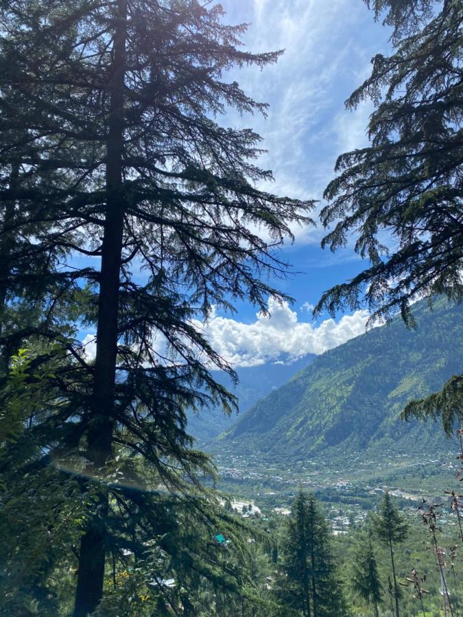 Tag'S Stay, Naggar Nagar  Экстерьер фото