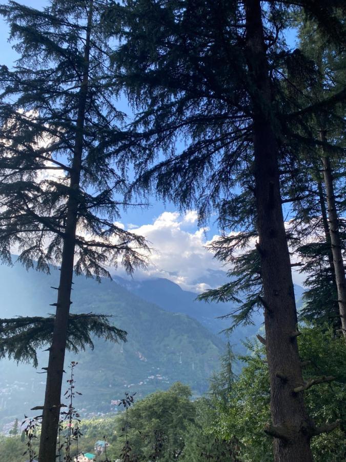 Tag'S Stay, Naggar Nagar  Экстерьер фото